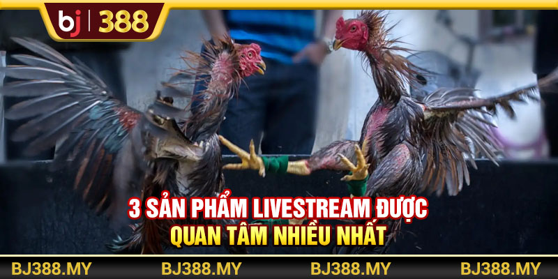 3 sản phẩm livestream được quan tâm nhiều nhất