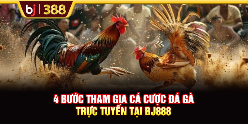 4 bước tham gia cá cược đá gà trực tuyến tại BJ888