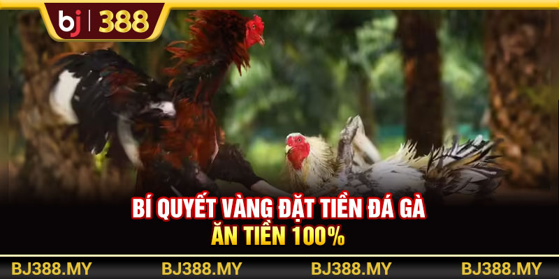 Bí quyết vàng đặt tiền đá gà ăn tiền 100%