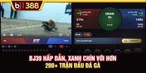 BJ39 Hấp Dẫn, Xanh Chín Với Hơn 200+ Trận Đấu Đá Gà