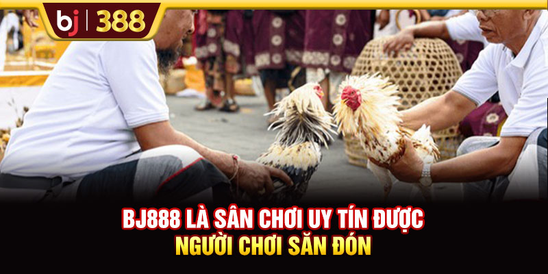 BJ888 là sân chơi uy tín được người chơi săn đón