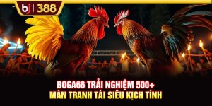 BOGA66 Trải Nghiệm 500+ Màn Tranh Tài Siêu Kịch Tính