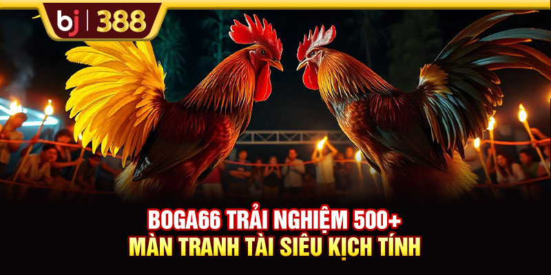 BOGA66 Trải Nghiệm 500+ Màn Tranh Tài Siêu Kịch Tính