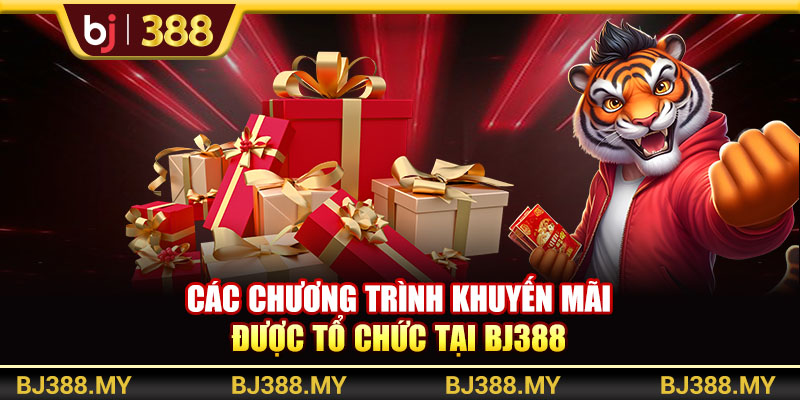Các chương trình khuyến mãi được tổ chức tại BJ388