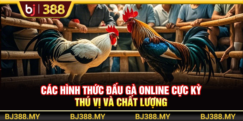Các hình thức đấu gà online cực kỳ thú vị và chất lượng