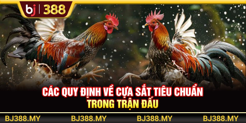 Các quy định về cựa sắt tiêu chuẩn trong trận đấu