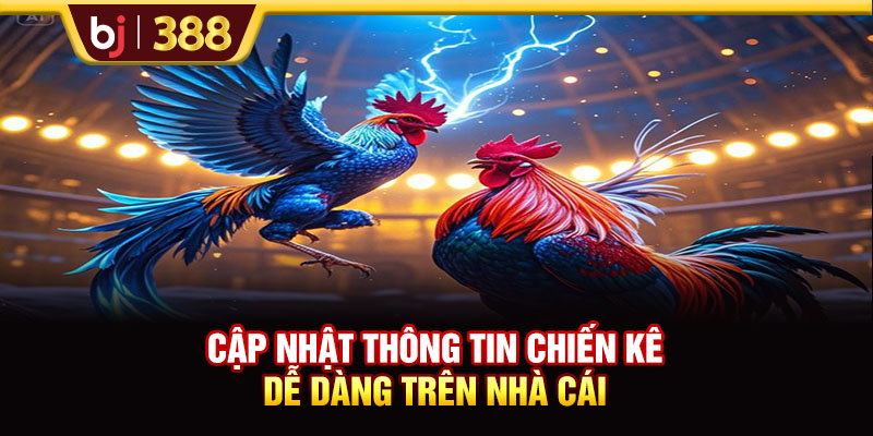 Cập nhật thông tin chiến kê dễ dàng trên nhà cái
