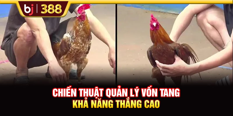 Chiến thuật quản lý vốn tăng khả năng thắng cao