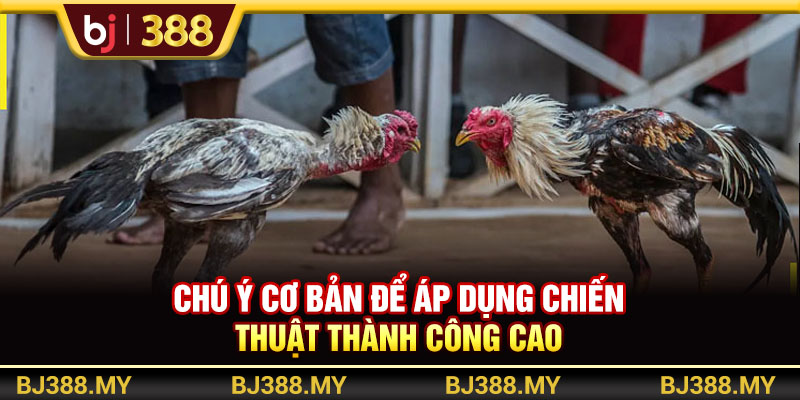 Chú ý cơ bản để áp dụng chiến thuật thành công cao