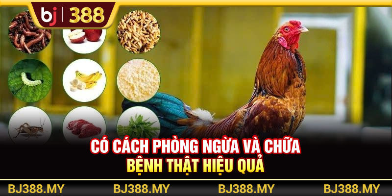 Có cách phòng ngừa và chữa bệnh thật hiệu quả