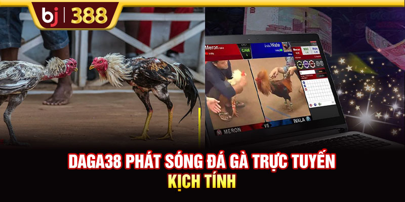 DAGA38 phát sóng đá gà trực tuyến  kịch tính
