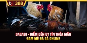DAGA88 - Điểm Đến Uy Tín Thỏa Mãn Đam Mê Đá Gà Online