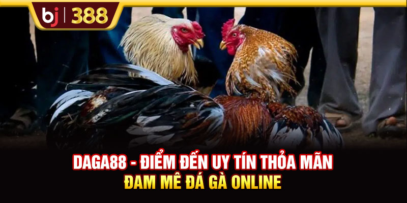 DAGA88 - Điểm Đến Uy Tín Thỏa Mãn Đam Mê Đá Gà Online