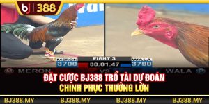 Đặt Cược BJ388 Trổ Tài Dự Đoán Chinh Phục Thưởng Lớn