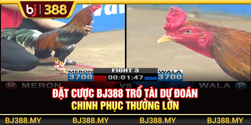 Đặt Cược BJ388 Trổ Tài Dự Đoán Chinh Phục Thưởng Lớn