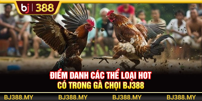 Điểm danh các thể loại hot có trong gà chọi BJ388