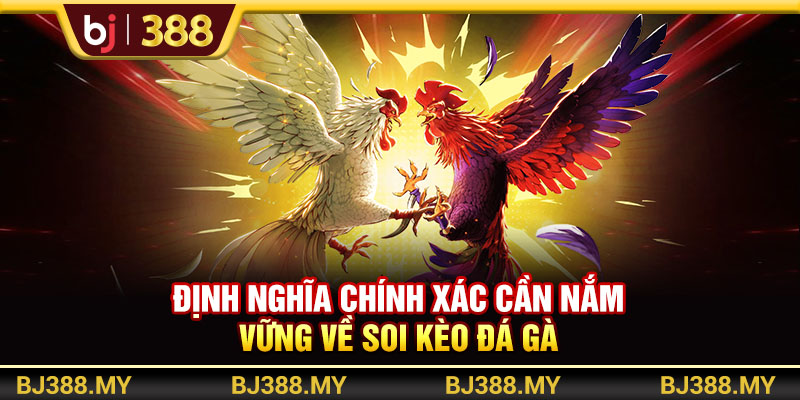Định nghĩa chính xác cần nắm vững về soi kèo đá gà