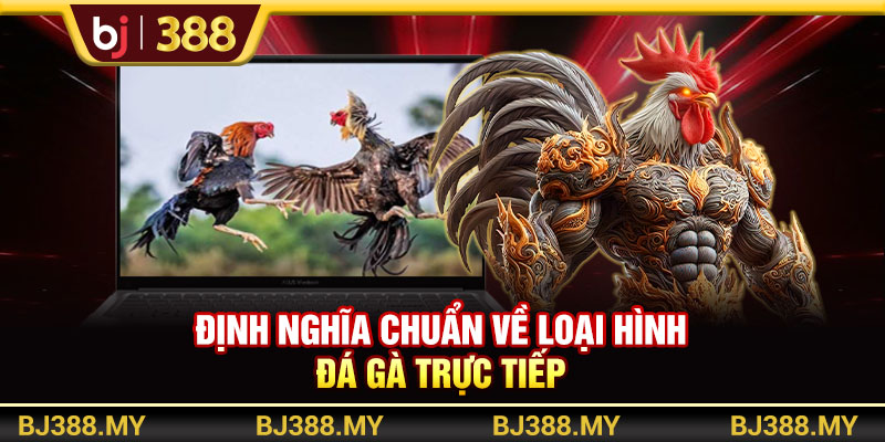 Định nghĩa chuẩn về loại hình đá gà trực tiếp