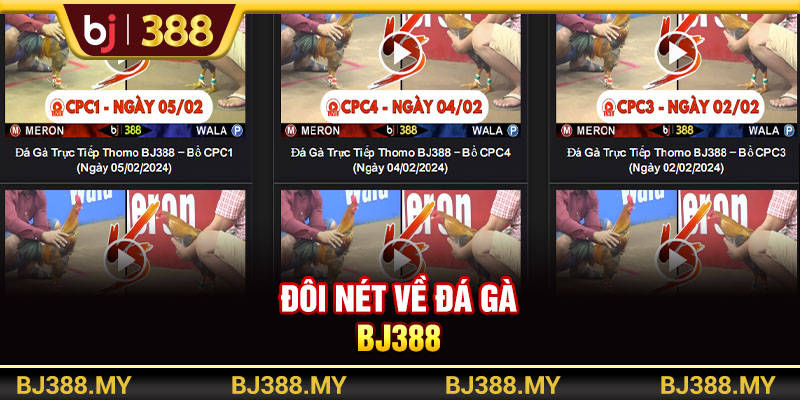 Đôi nét về sảnh chơi đá gà BJ388