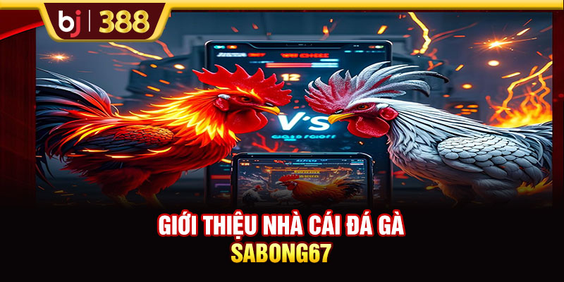 Giới thiệu nhà cái đá gà SABONG67