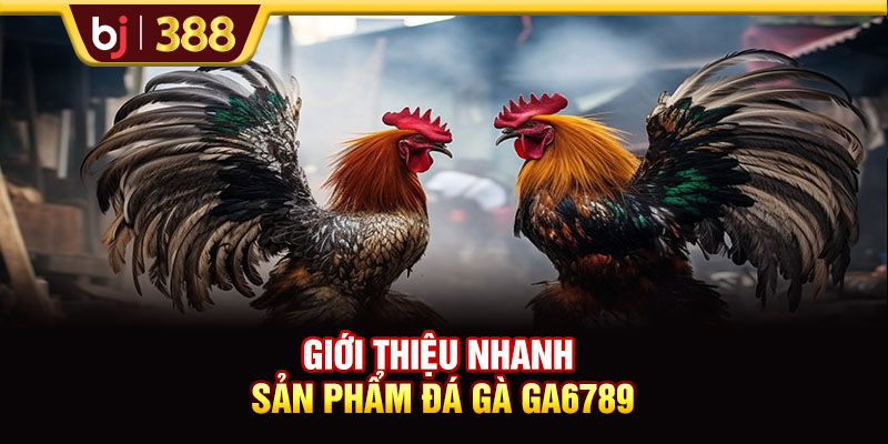 Giới thiệu nhanh sản phẩm đá gà GA6789