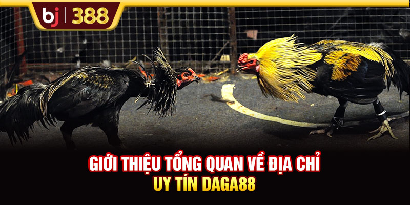 Giới thiệu tổng quan về địa chỉ uy tín DAGA88