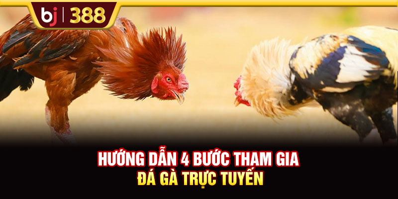 Hướng dẫn 4 bước tham gia đá gà trực tuyến 