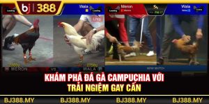 Khám Phá Đá Gà Campuchia BJ388 Với Trải Nghiệm Gay Cấn