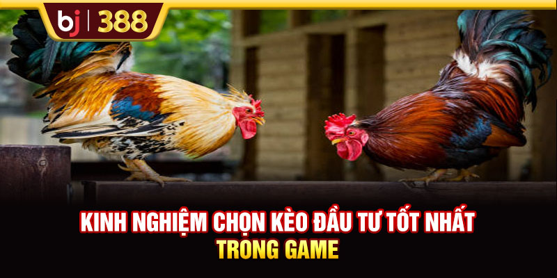 Kinh nghiệm chọn kèo đầu tư tốt nhất trong game