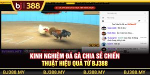 Kinh Nghiệm Đá Gà Chia Sẻ Chiến Thuật Hiệu Quả Từ BJ388