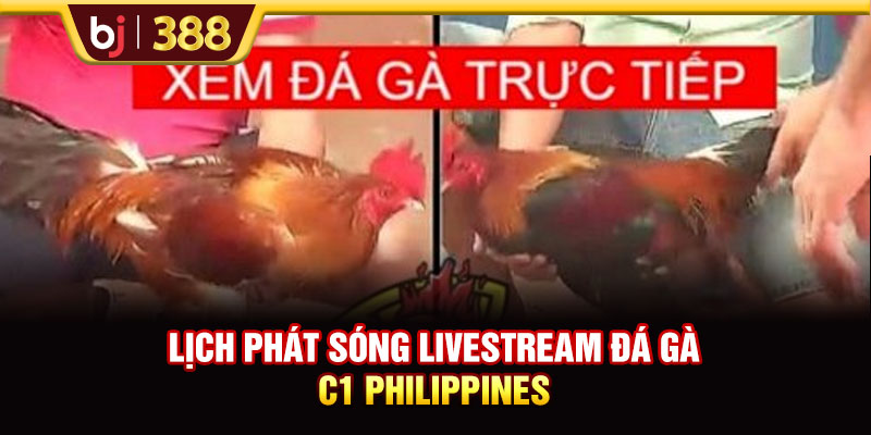 Lịch phát sóng Livestream đá gà C1 Philippines