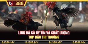 Link Đá Gà BJ388 Uy Tín Và Chất Lượng Top Đầu Thị Trường