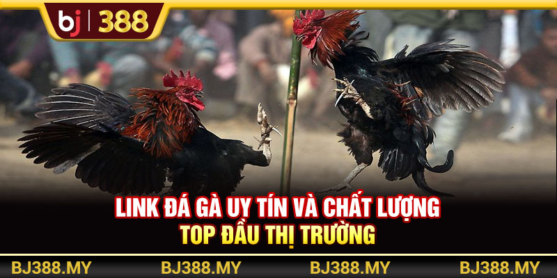 Link Đá Gà BJ388 Uy Tín Và Chất Lượng Top Đầu Thị Trường