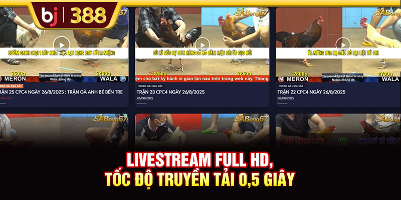 Livestream Full HD, tốc độ truyền tải 0,5 giây
