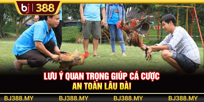 Lưu ý quan trọng giúp cá cược an toàn lâu dài