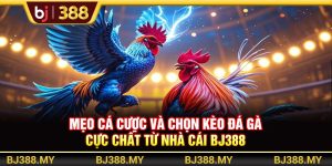 Mẹo Cá Cược Và Chọn Kèo Đá Gà Cực Chất Từ Nhà Cái BJ388