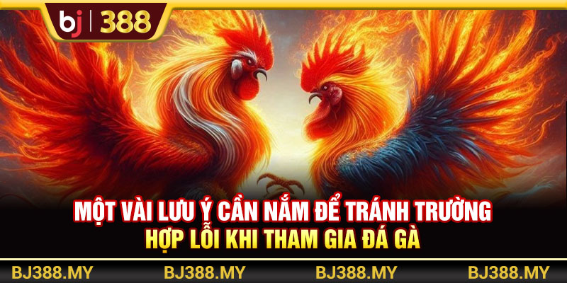 Một vài lưu ý cần nắm để tránh trường hợp lỗi khi tham gia đá gà 