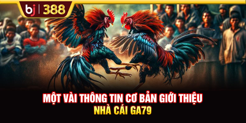 Một vài thông tin cơ bản giới thiệu nhà cái GA79 