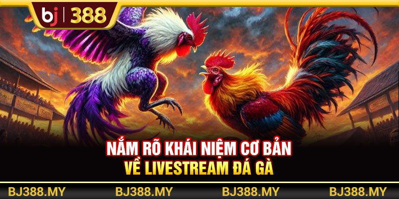 Nắm rõ khái niệm cơ bản về livestream đá gà