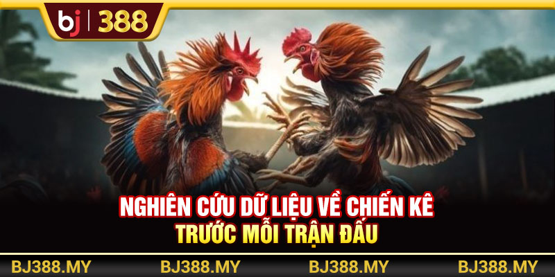 Nghiên cứu dữ liệu về chiến kê trước mỗi trận đấu
