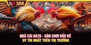 Nhà Cái Ga79 - Sân Chơi Đấu Kê Uy Tín Nhất Trên Thị Trường
