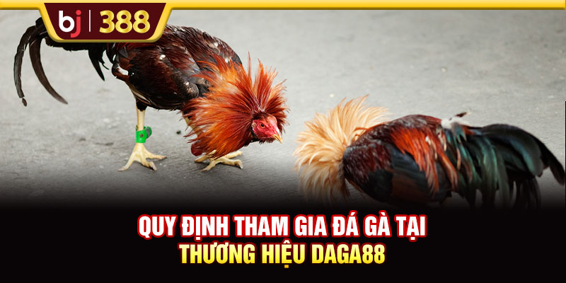 Quy định tham gia đá gà tại thương hiệu DAGA88