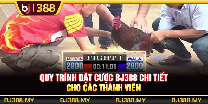 Quy trình đặt cược BJ388 chi tiết cho các thành viên