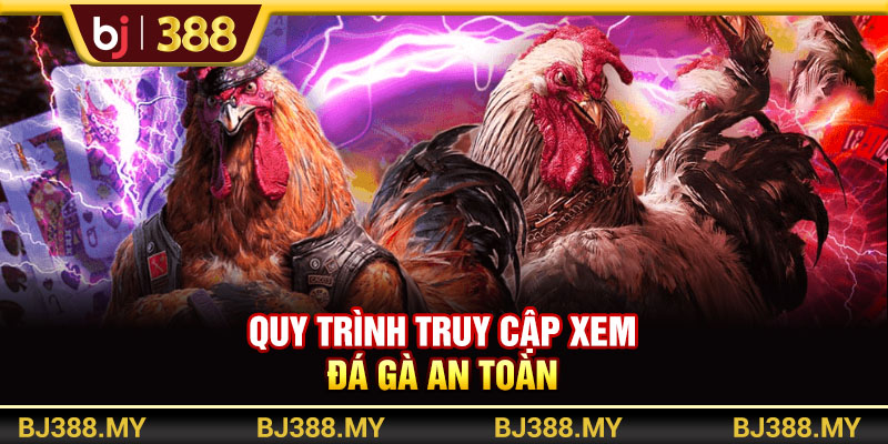 Quy trình truy cập xem đá gà an toàn