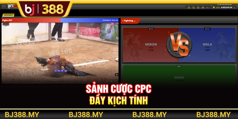 Sảnh cược CPC đầy kịch tính