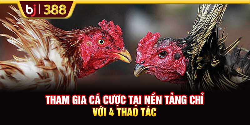 Tham gia cá cược tại nền tảng chỉ với 4 thao tác 