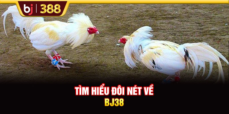 Tìm hiểu đôi nét về BJ38