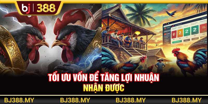 Tối ưu vốn để tăng lợi nhuận nhận được