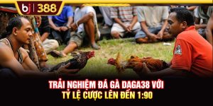 Trải Nghiệm Đá Gà DAGA38 Với Tỷ Lệ Cược Lên Đến 1:90