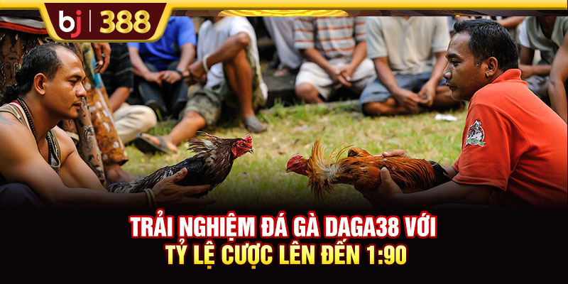 Trải Nghiệm Đá Gà DAGA38 Với Tỷ Lệ Cược Lên Đến 1:90